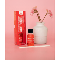 LA CASA AROMAS šķidrais gaisa aromatizētājs ar nūjiņām 95ml 